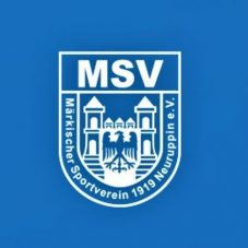 MSV Logo